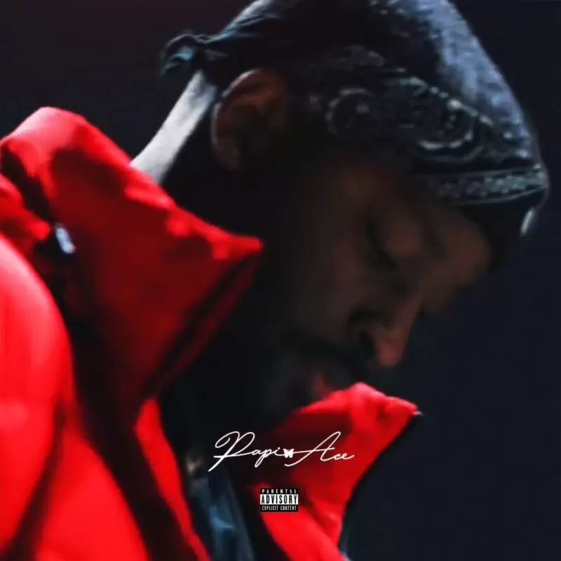 PAPI ACE 